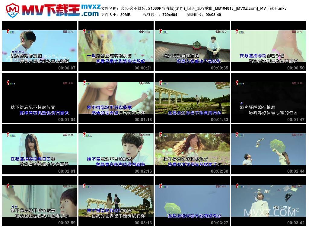 武艺-舍不得忘记(1080P高清版)(消伴)_国语_流行歌曲_MB104813
